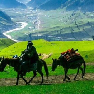 Enchanting Kashmir 5 Days 4 Nights